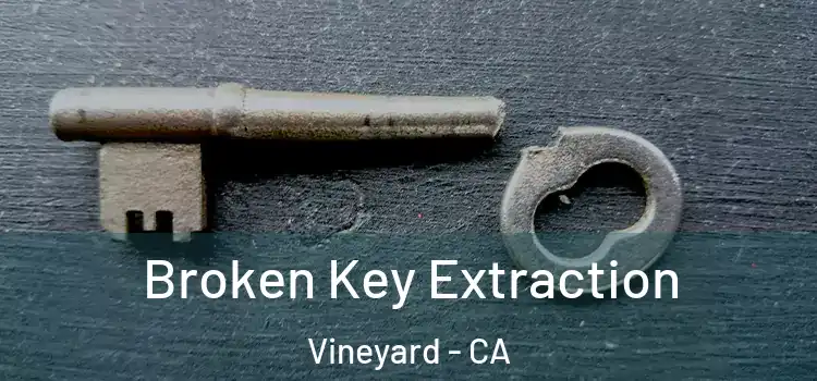 Broken Key Extraction Vineyard - CA