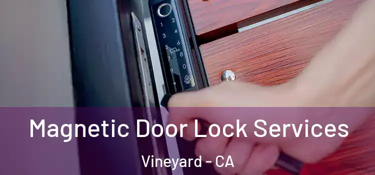 Magnetic Door Lock Services Vineyard - CA