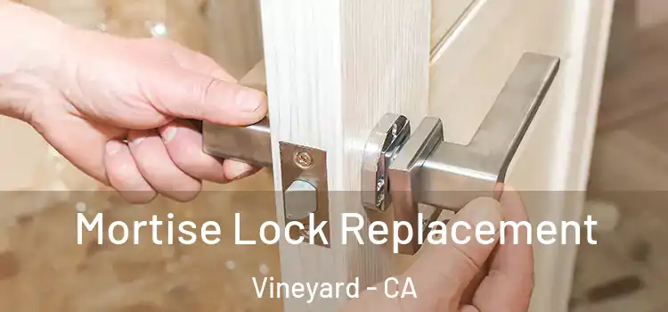 Mortise Lock Replacement Vineyard - CA